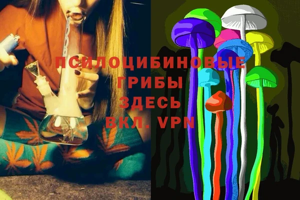 ALPHA PVP Алзамай