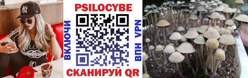Псилоцибиновые грибы Psilocybe  Дюртюли 